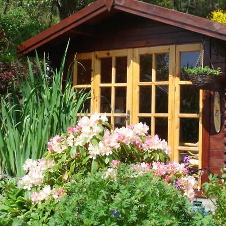 Castleview Bed & Breakfast Dufftown Luaran gambar