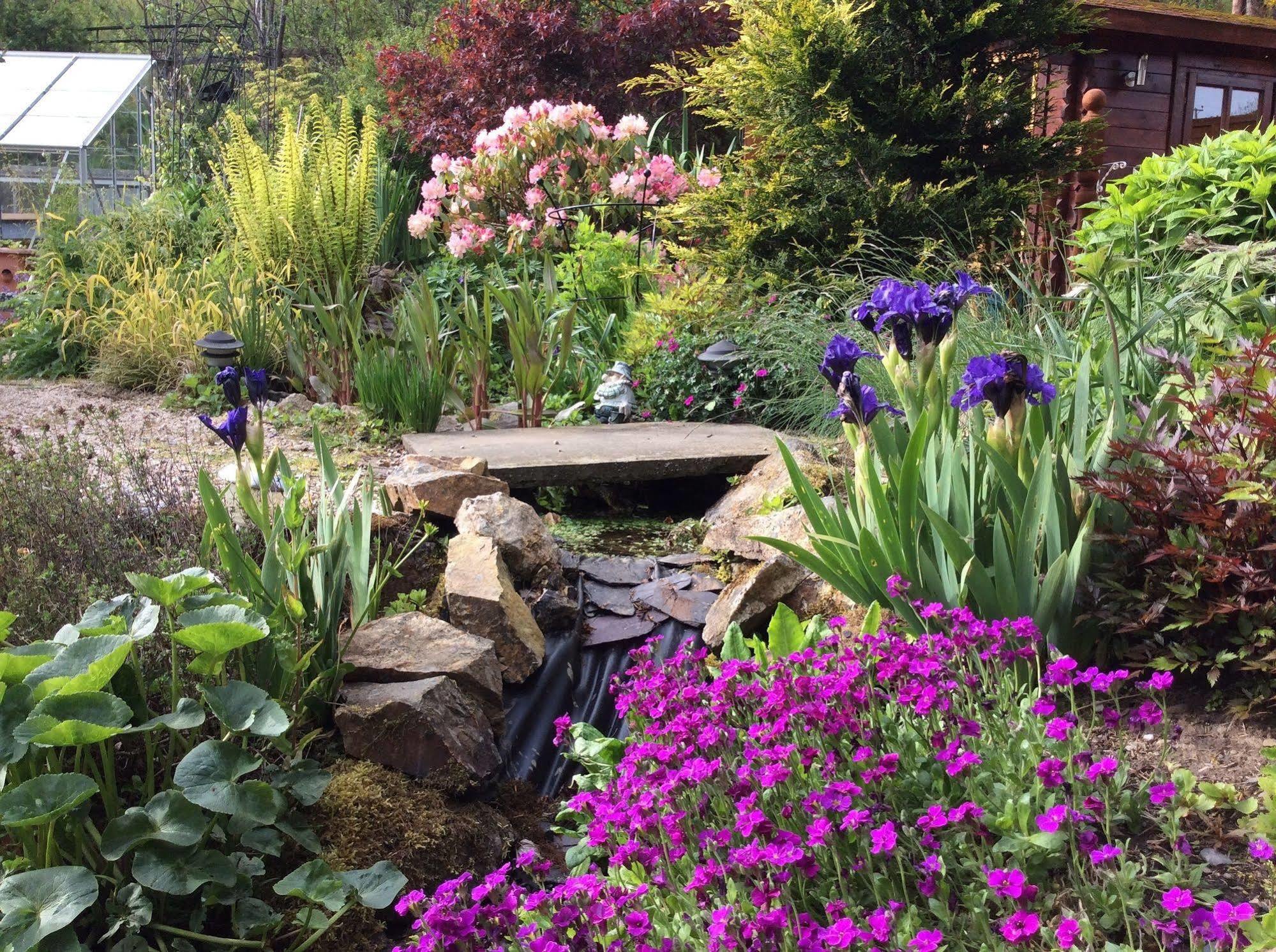 Castleview Bed & Breakfast Dufftown Luaran gambar